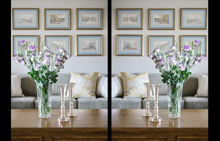 成都別墅華僑城東岸簡美裝修風格案例